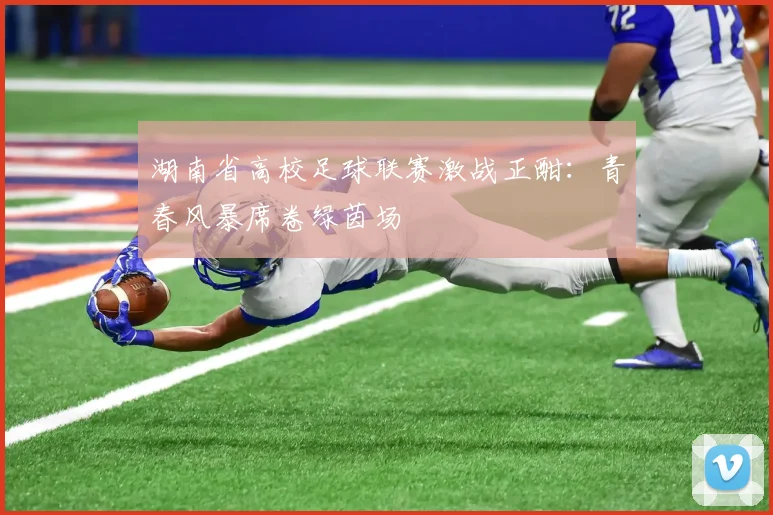 湖南省高校足球联赛激战正酣:青春风暴席卷绿茵场