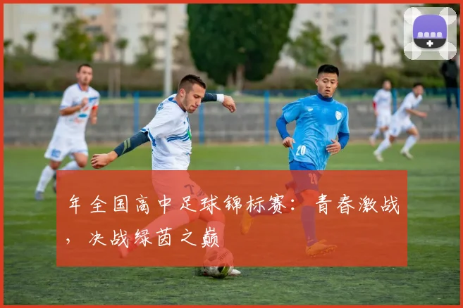 年全国高中足球锦标赛:青春激战,决战绿茵之巅